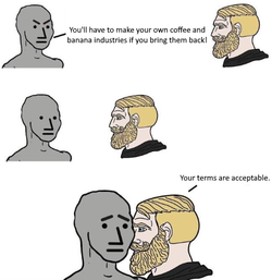 sdfsfd.jpg
