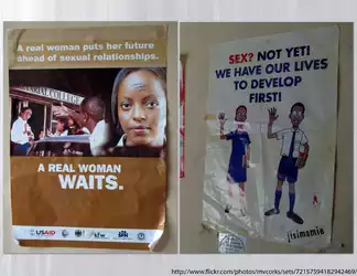 050616-sex-ed-posters1-furmanedublog.jpg