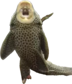1738004908129.png 1738004908129.png