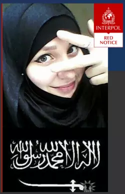 Screenshot 2025-01-27 001.png Screenshot 2025-01-27 001.png