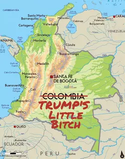 1738010273679.png