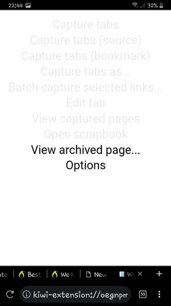 Screenshot_20250127-224438_Kiwi Browser.jpg