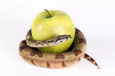 sin.jpg