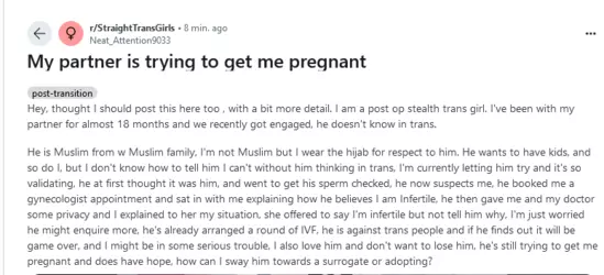 Screenshot 2025-01-28 at 08-47-02 My partner is trying to get me pregnant r_StraightTransGirls.png
