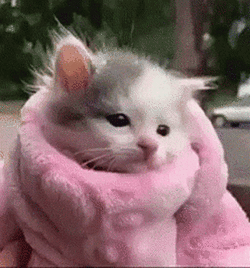 1000007479.gif