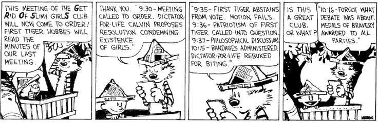calvin hobbes clubhouse.jpg