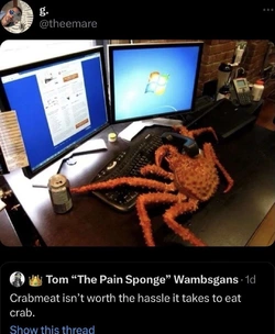 73df2d48b651ac842ee5fb45b879df94efcfc883e01fdbe9d6847b12ad54738c_1.jpg