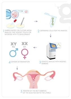ING_Stock_Tecnicas_mobile_Eligender-Ing.jpg