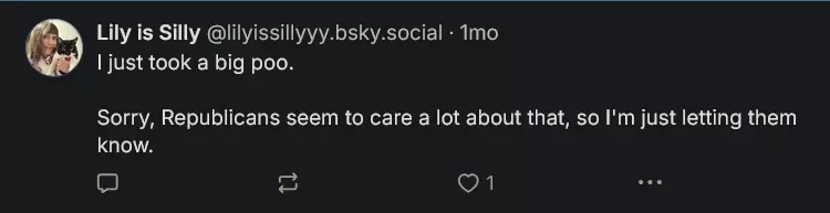 Screenshot 2025-01-01 at 15-30-52 Lily is Silly (@lilyissillyyy.bsky.social) — Bluesky.png