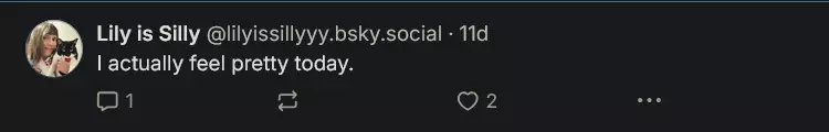 Screenshot 2025-01-01 at 16-10-10 Lily is Silly (@lilyissillyyy.bsky.social) — Bluesky.png