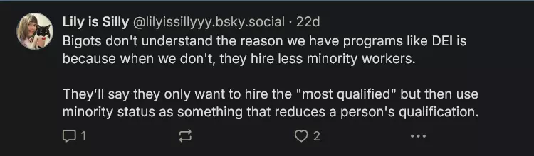 Screenshot 2025-01-01 at 16-08-58 Lily is Silly (@lilyissillyyy.bsky.social) — Bluesky.png