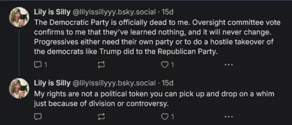 Screenshot 2025-01-01 at 15-37-43 Lily is Silly (@lilyissillyyy.bsky.social) — Bluesky.png
