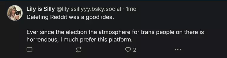 Screenshot 2025-01-01 at 15-35-35 Lily is Silly (@lilyissillyyy.bsky.social) — Bluesky.png