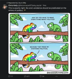Screenshot 2025-01-01 at 15-35-08 Lily is Silly (@lilyissillyyy.bsky.social) — Bluesky.png