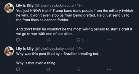 Screenshot 2025-01-29 at 03-26-55 Lily is Silly (@lilyissillyyy.bsky.social) — Bluesky.png