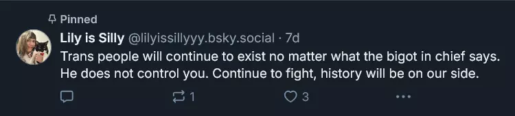 Screenshot 2025-01-29 at 03-26-35 Lily is Silly (@lilyissillyyy.bsky.social) — Bluesky.png