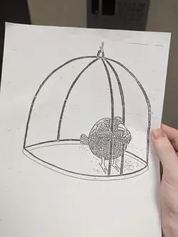 Despite All my Rage I Am Still Just A Bird In A Cage.jpg