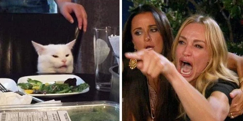 Woman v Cat - flipped.jpg