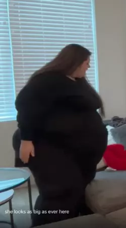 1738195769636.png