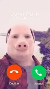 images (10).jpeg