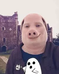 images (9).jpeg