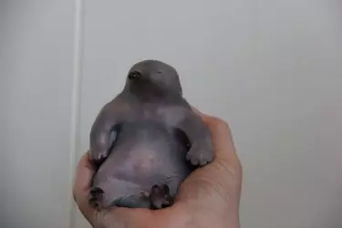 images.jpeg