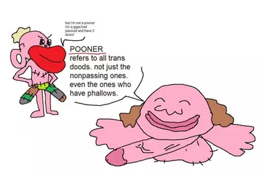 more-lil-poons-v0-y3kfsng468cb1.webp