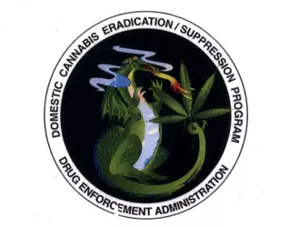 1738267438665.png