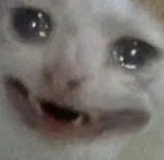 cryin.jpg