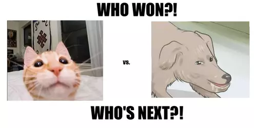 wwwn.png