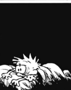 IMG_3052.jpeg