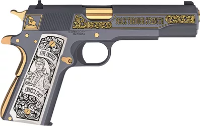 Trump-Never-Surrender-Springfield_Right-side-1-768x484.jpg