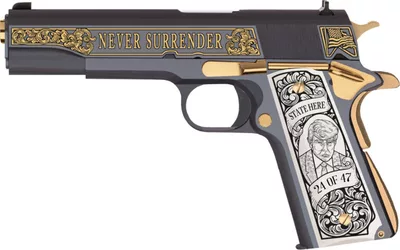 Trump-Never-Surrender-Springfield_Left-side-1-768x481.jpg