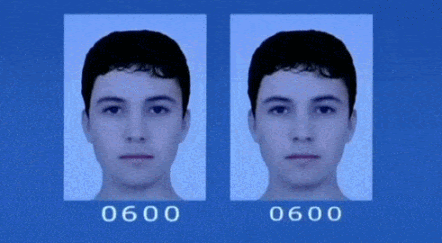 Dimorphism.gif