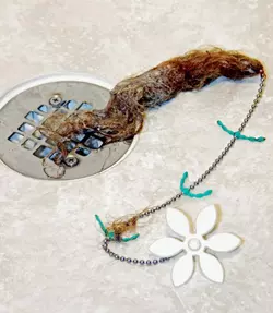 drain wig.jpg