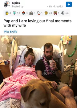 reddit.jpg