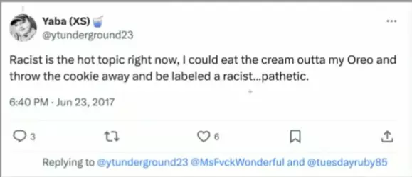 2017_06_23_Racist is the hot topic.png
