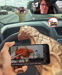 1738378288058.jpeg