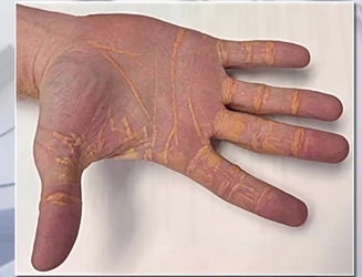 hand2.jpg