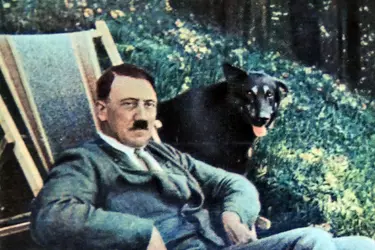 1738403400309.png