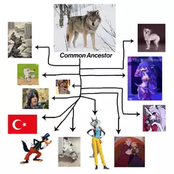 common ancestor.png