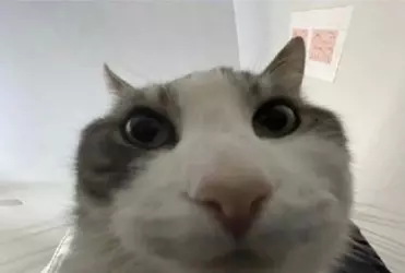 20240902_170024.png