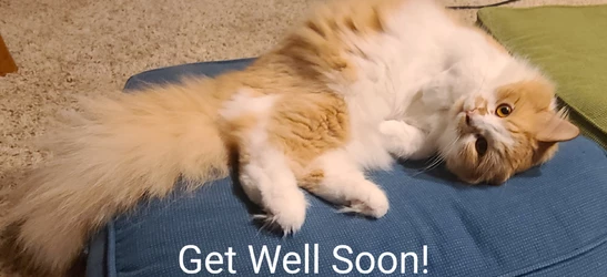 getwellsoon.jpg