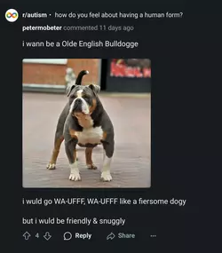 x2.png