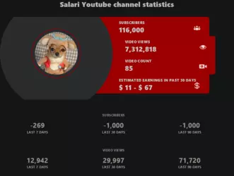 Screenshot 2025-02-01 at 20-51-17 Salari Youtuber overview.png