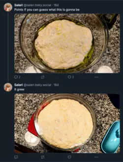 Screenshot 2025-02-01 at 23-02-49 Salari (@salari.bsky.social) — Bluesky.png