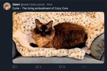 Screenshot 2025-02-01 at 23-38-04 Salari (@salari.bsky.social) — Bluesky.png
