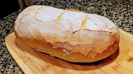 bafkreigzs6iipatueaq636fnjo56ojohzjpubhkmwsjkxmpizkc3m4dpbu.jpg