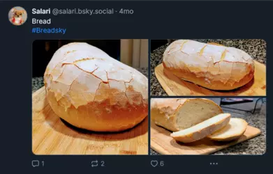 Screenshot 2025-02-01 at 23-39-03 Salari (@salari.bsky.social) — Bluesky.png