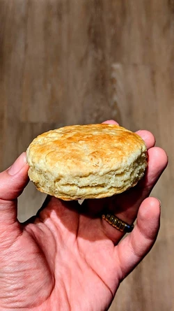 bafkreifslobmrvfotvjgdlhgeu3xfri4phyi2cyerncpyatpn2btibniwi.jpg